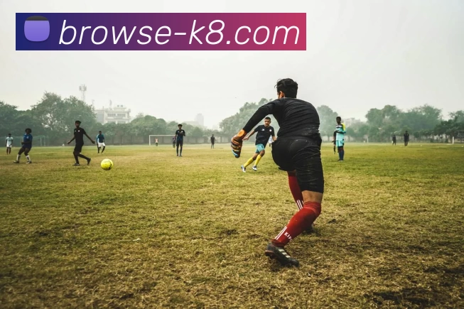 凯发娱乐APP 封面图