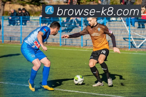 k8凯发体育APP 封面图
